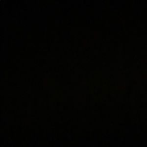 Meet your Posher, Diego